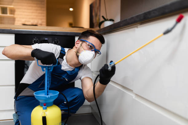Best Residential Pest Control  in Bridgeville, DE
