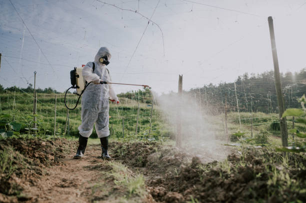 Professional Pest Control in Bridgeville, DE