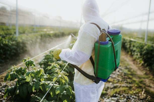 Best Local Pest Control Services  in Bridgeville, DE